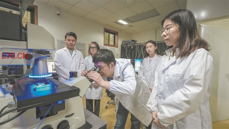 西安电子科技大学科研团队在使用自主研发的高时空分辨定量相衬显微镜配资平台系统稳定性对比。 受访单位供图