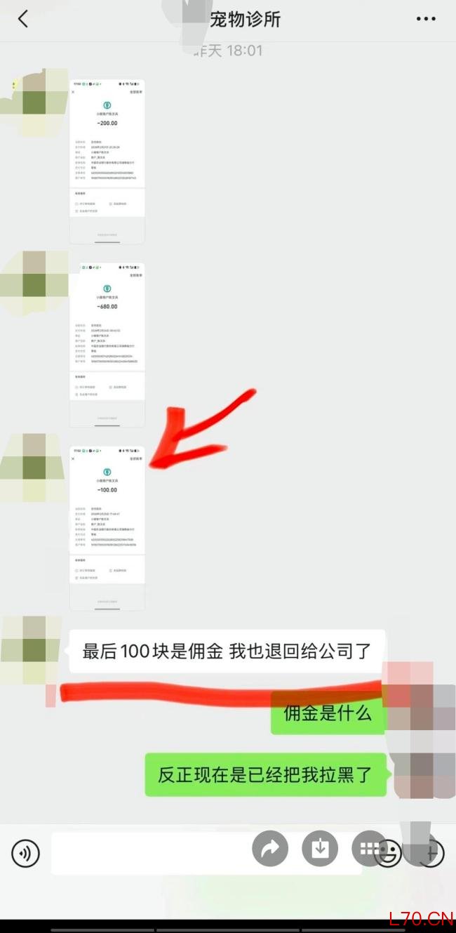 315最应该曝的是宠物乱象 虚假承诺与监管空白