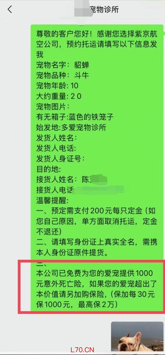 315最应该曝的是宠物乱象 虚假承诺与监管空白