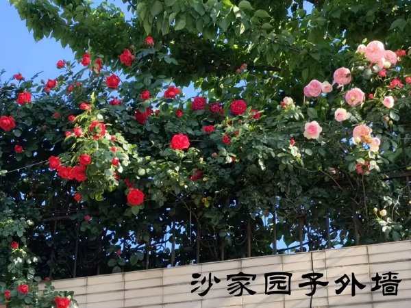5.07股市早8点丨小登涨了一夜让人目不暇接