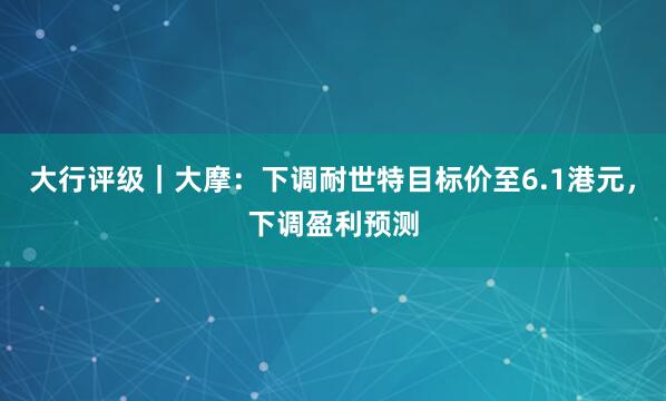 大行评级|大摩:下调耐世特目标价至6.1港元,下调盈利预测