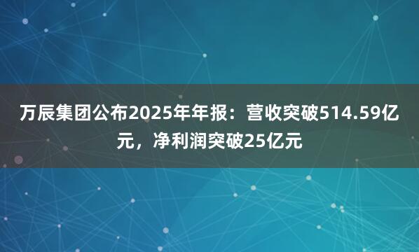 万辰集团公布2025年年报：营收突破514.59亿元，净利润突破25亿元