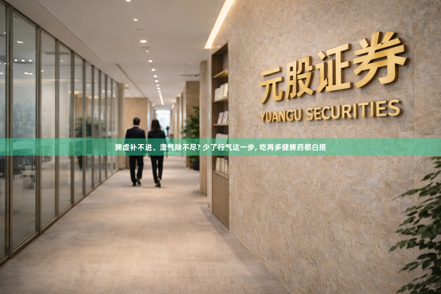 脾虚补不进、湿气除不尽? 少了行气这一步, 吃再多健脾药都白搭