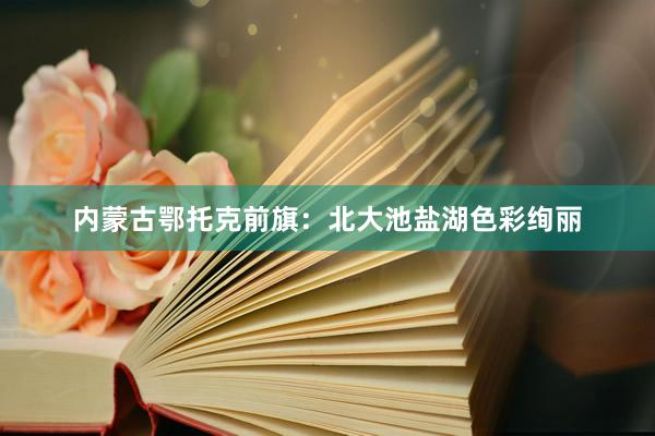 内蒙古鄂托克前旗：北大池盐湖色彩绚丽