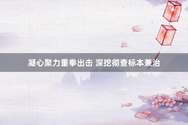 凝心聚力重拳出击 深挖彻查标本兼治