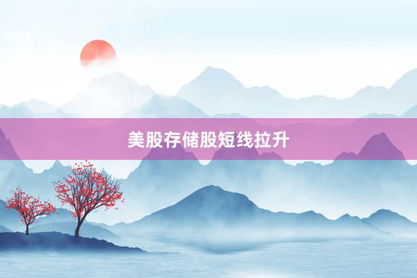 美股存储股短线拉升