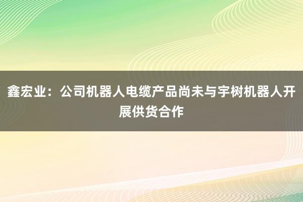 鑫宏业：公司机器人电缆产品尚未与宇树机器人开展供货合作