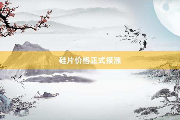 硅片价格正式报涨