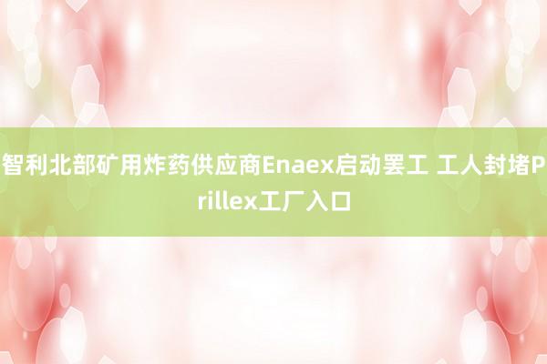 智利北部矿用炸药供应商Enaex启动罢工 工人封堵Prillex工厂入口