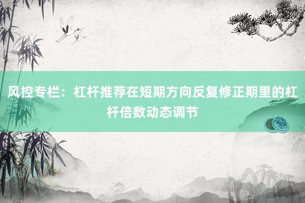 风控专栏：杠杆推荐在短期方向反复修正期里的杠杆倍数动态调节