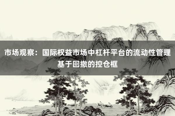 市场观察：国际权益市场中杠杆平台的流动性管理基于回撤的控仓框