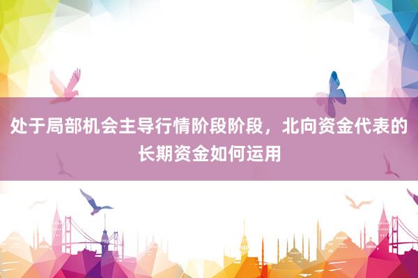处于局部机会主导行情阶段阶段，北向资金代表的长期资金如何运用