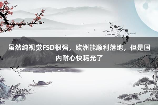虽然纯视觉FSD很强，欧洲能顺利落地，但是国内耐心快耗光了