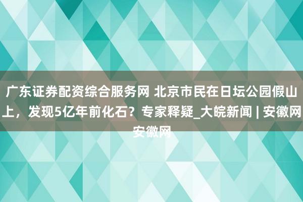 广东证券配资综合服务网 北京市民在日坛公园假山上，发现5亿年前化石？专家释疑_大皖新闻 | 安徽网