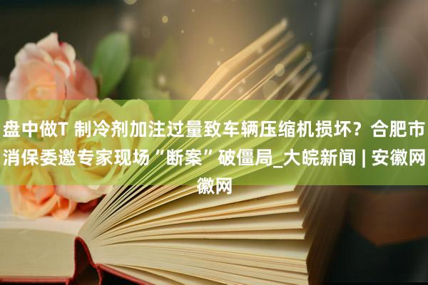 盘中做T 制冷剂加注过量致车辆压缩机损坏？合肥市消保委邀专家现场“断案”破僵局_大皖新闻 | 安徽网