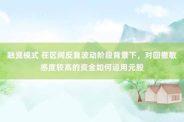 融资模式 在区间反复波动阶段背景下，对回撤敏感度较高的资金如何运用元股